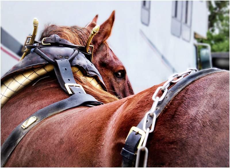 Rum Punch_Felicity Roworth_Open.jpg - Open